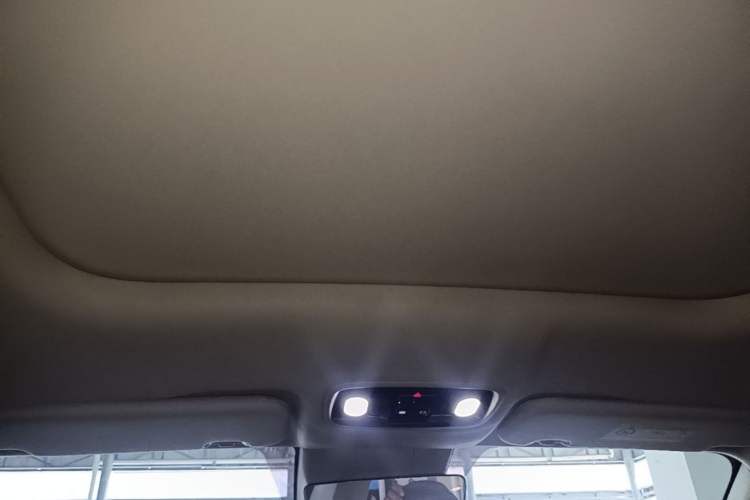 Used Leapmotor C11 2023 Pure Electric 500 Comfort Edition Headliner