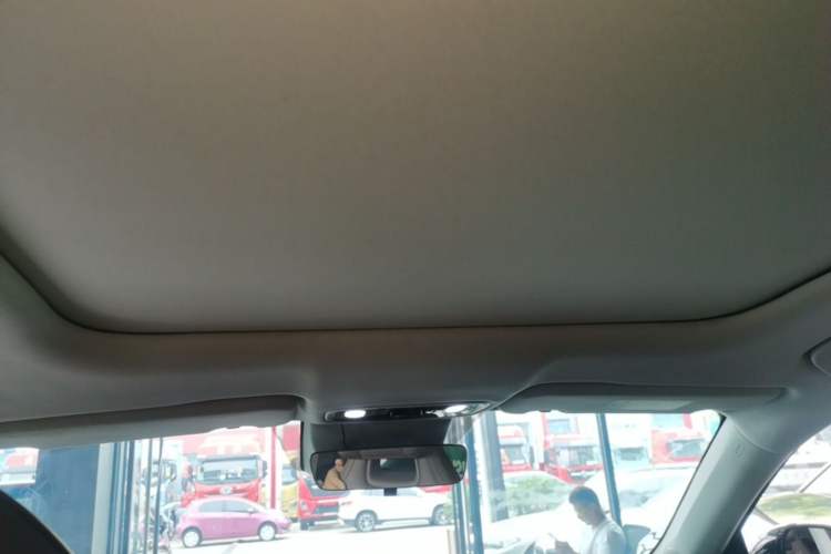 Used Leapmotor C11 2023 Pure Electric 500 Comfort Edition Headliner