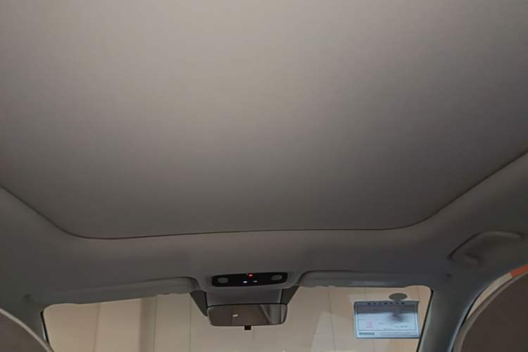 Used Leapmotor C11 2023 Pure Electric 500 Comfort Edition Headliner