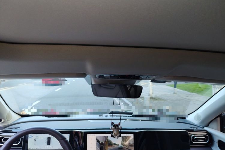 Used Leapmotor C11 2023 Range-Extended 300 Comfort Edition Headliner