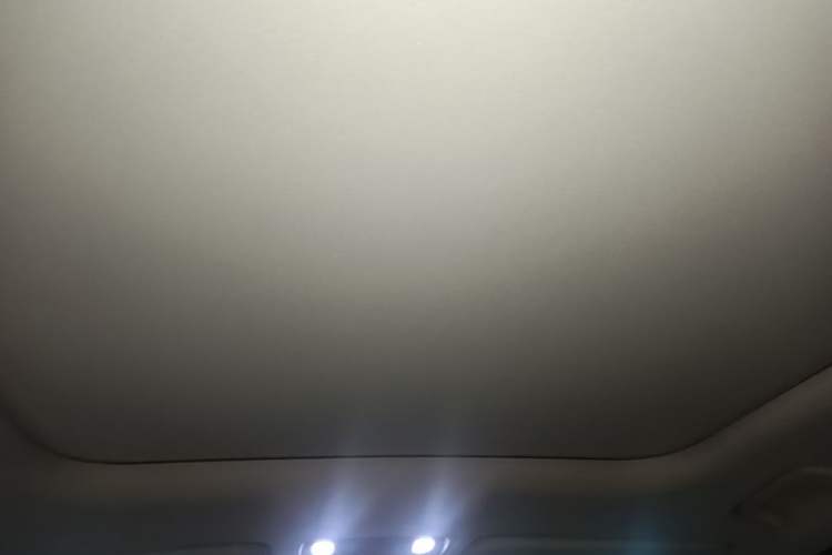 Used Leapmotor C11 2023 Range-Extended 200 Comfort Edition Headliner