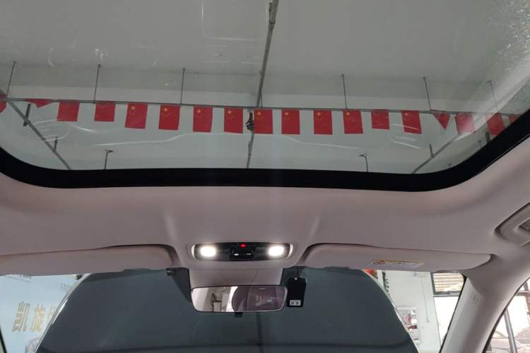 Used Leapmotor C11 2023 Extended-Range 285 Comfort Edition Headliner