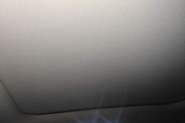 Used Leapmotor C11 2023 Extended-Range 285 Comfort Edition Headliner