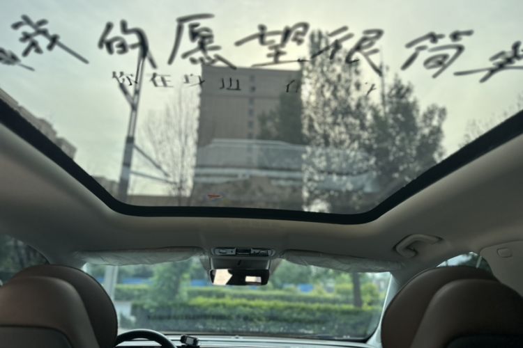 Used Leapmotor C11 2023 Range-Extended 180 Comfort Edition Headliner
