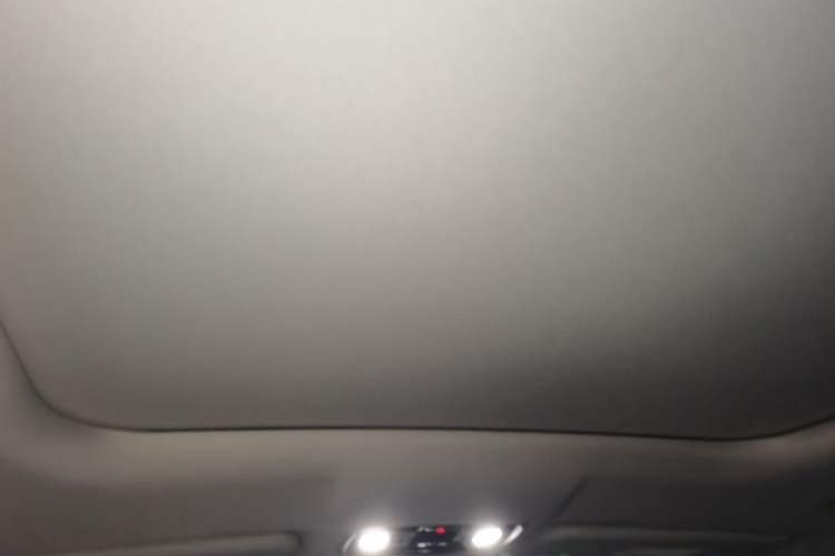 Used Leapmotor C11 2023 Range-Extended 200 Comfort Edition Headliner