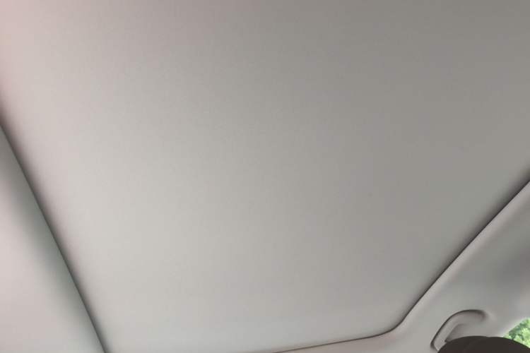 Used Leapmotor C11 2023 Pure Electric 500 Comfort Edition Headliner