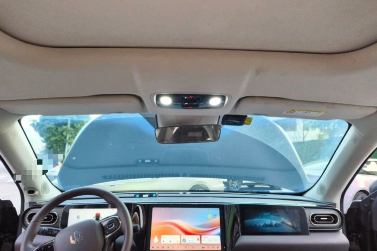Used Leapmotor C11 2023 Pure Electric 500 Smart Edition Headliner