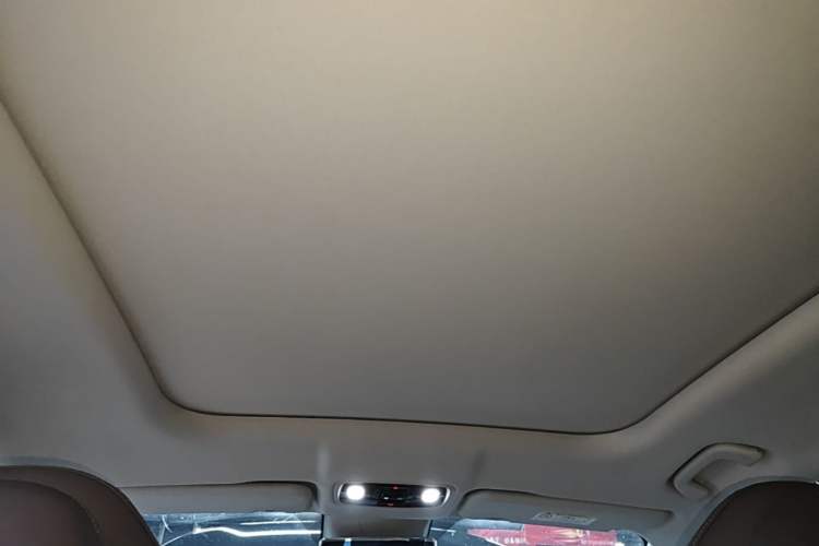 Used Leapmotor C11 2023 Pure Electric 500 Smart Edition Headliner
