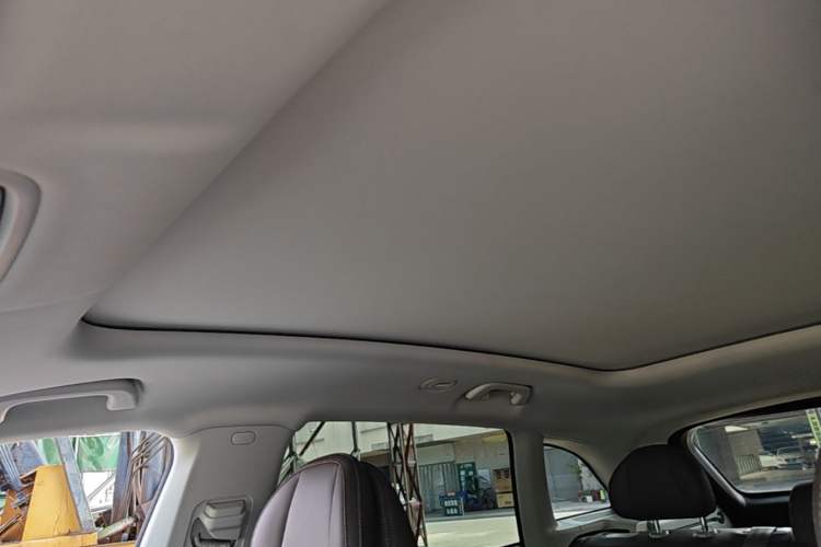 Used Leapmotor C11 2023 Pure Electric 500 Comfort Edition Headliner