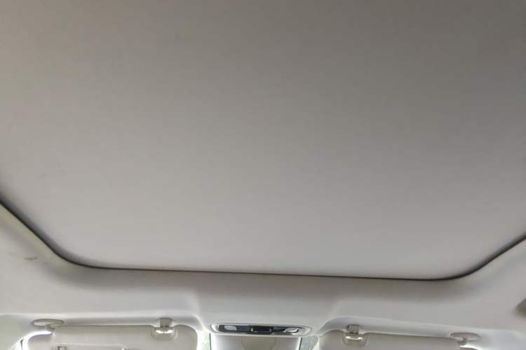Used Leapmotor C11 2023 Range-Extended 300 Comfort Edition Headliner