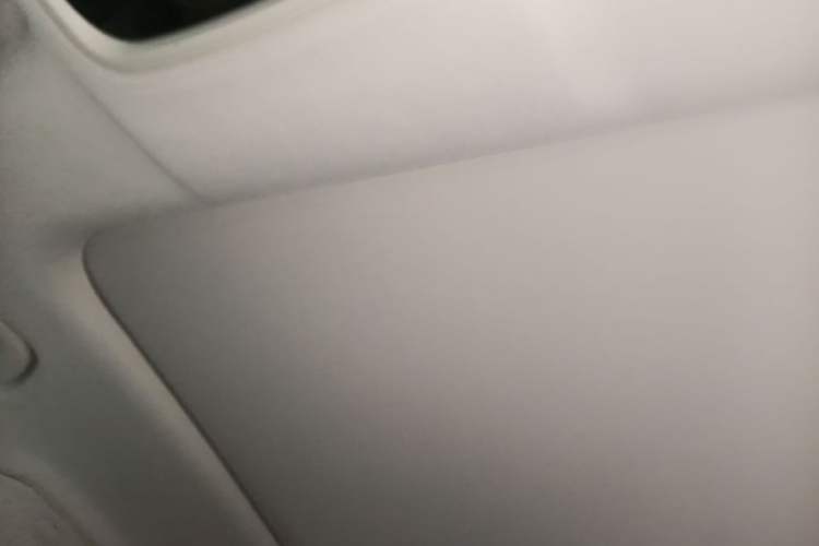 Used Leapmotor C11 2023 Pure Electric 500 Comfort Edition Headliner