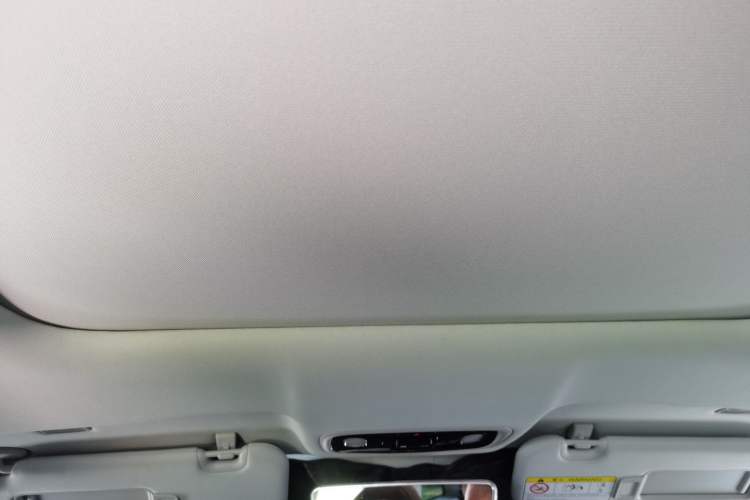 Used Leapmotor C11 2023 Pure Electric 650 ZhiXiang Edition Headliner
