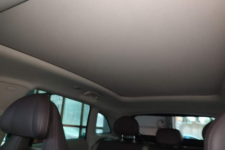 Used Leapmotor C11 2023 Range-Extended 285 Smart Enjoyment Edition Headliner
