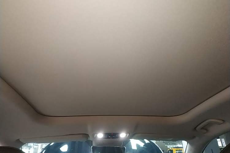 Used Leapmotor C11 2023 Pure Electric 500 Smart Edition Headliner