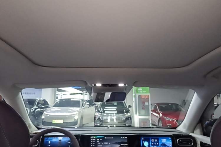 Used Leapmotor C11 2023 Pure Electric 500 Comfort Edition Headliner