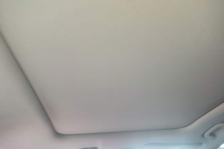 Used Leapmotor C11 2023 Pure Electric 500 Comfort Edition Headliner