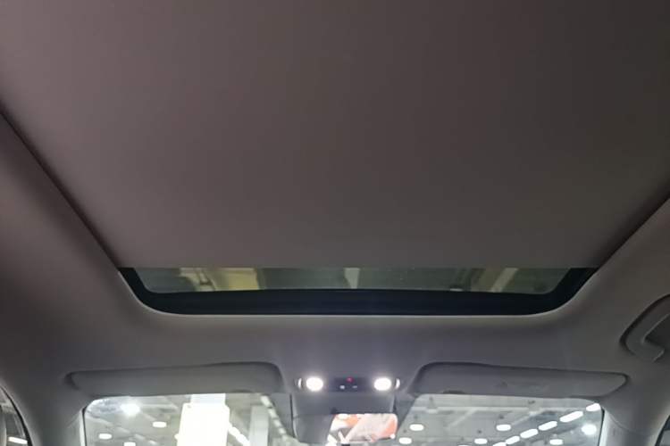 Used Leapmotor C11 2023 Range-Extended 180 Comfort Edition Headliner