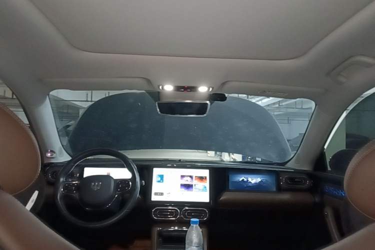 Used Leapmotor C11 2023 Pure Electric 500 Zhixing Edition Headliner