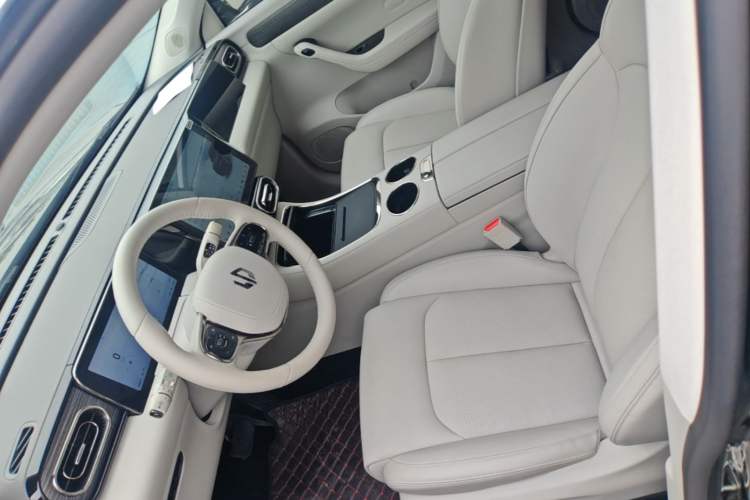 Used Leapmotor C11 2023 Pure Electric 500 Smart Edition Left Front Seat