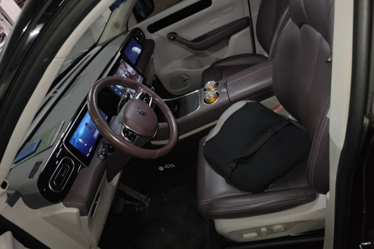 Used Leapmotor C11 2023 Pure Electric 500 Comfort Edition Left Front Seat