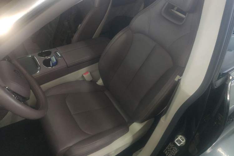 Used Leapmotor C11 2023 Range-Extended 285 Smart Enjoyment Edition Left Front Seat
