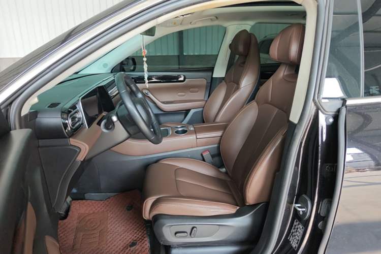 Used Leapmotor C11 2023 Pure Electric 500 Comfort Edition Left Front Seat