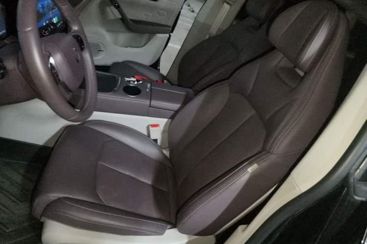 Used Leapmotor C11 2023 Range-Extended 200 Comfort Edition Left Front Seat