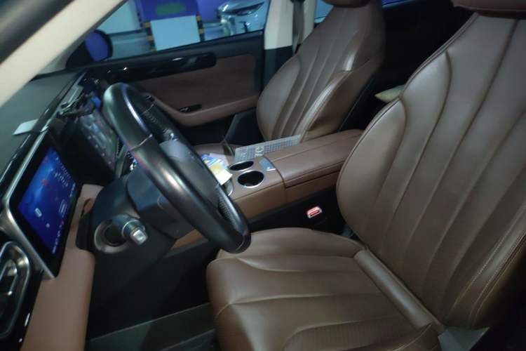 Used Leapmotor C11 2023 Range-Extended 180 Comfort Edition Left Front Seat