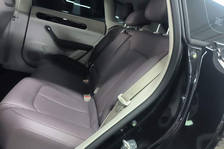 Used Leapmotor C11 2023 Range-Extended 200 Comfort Edition Left Rear Seat