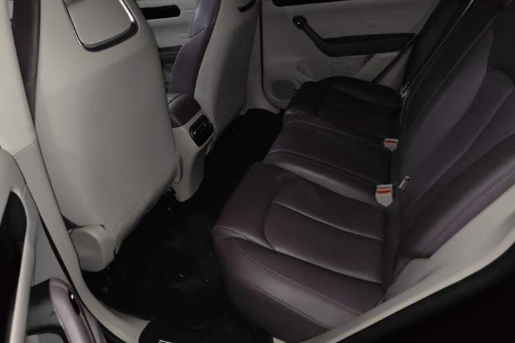 Used Leapmotor C11 2023 Pure Electric 500 Comfort Edition Left Rear Seat