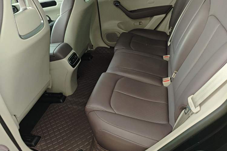 Used Leapmotor C11 2023 Range-Extended 200 Comfort Edition Left Rear Seat