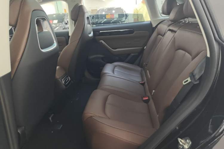 Used Leapmotor C11 2023 Range-Extended 200 Comfort Edition Left Rear Seat