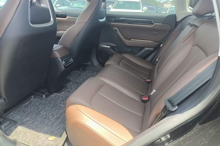 Used Leapmotor C11 2023 Pure Electric 500 Comfort Edition Left Rear Seat