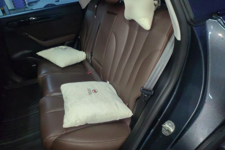 Used Leapmotor C11 2023 Range-Extended 180 Comfort Edition Left Rear Seat