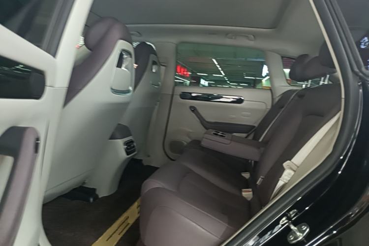 Used Leapmotor C11 2023 Range-Extended 300 Comfort Edition Left Rear Seat