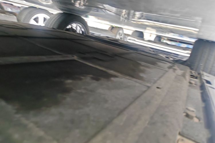 Used Leapmotor C11 2023 Pure Electric 500 Smart Edition Left Side Sill