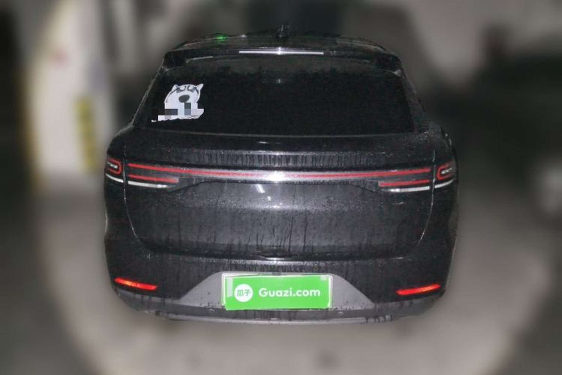 Used Leapmotor C11 2023 Range-Extended 180 Comfort Edition Rear