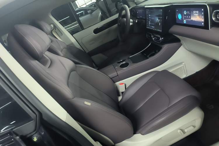 Used Leapmotor C11 2023 Range-Extended 200 Comfort Edition Right Front Seat