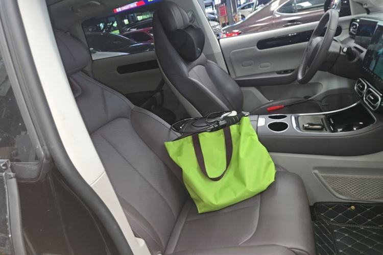 Used Leapmotor C11 2023 Range-Extended 180 Comfort Edition Right Front Seat