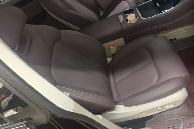 Used Leapmotor C11 2023 Range-Extended 200 Comfort Edition Right Front Seat