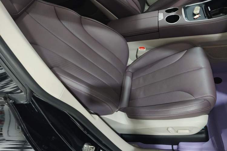 Used Leapmotor C11 2023 Extended-Range 285 Comfort Edition Right Front Seat
