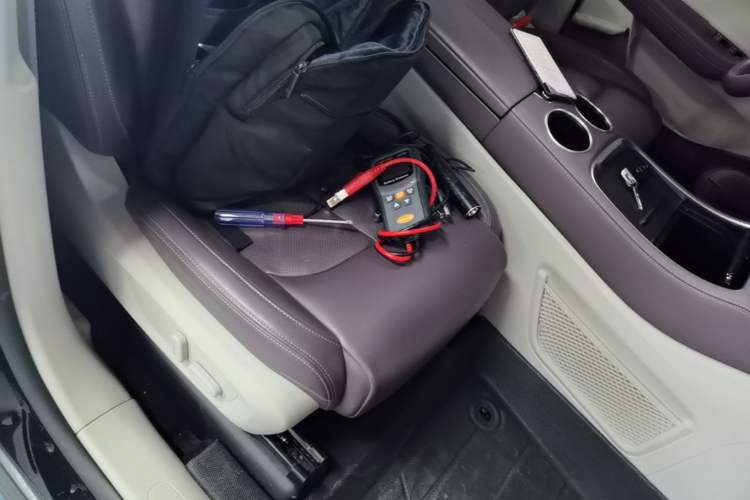 Used Leapmotor C11 2023 Range-Extended 180 Comfort Edition Right Front Seat