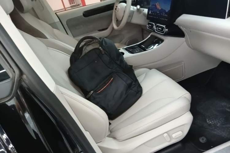 Used Leapmotor C11 2023 Pure Electric 500 Comfort Edition Right Front Seat