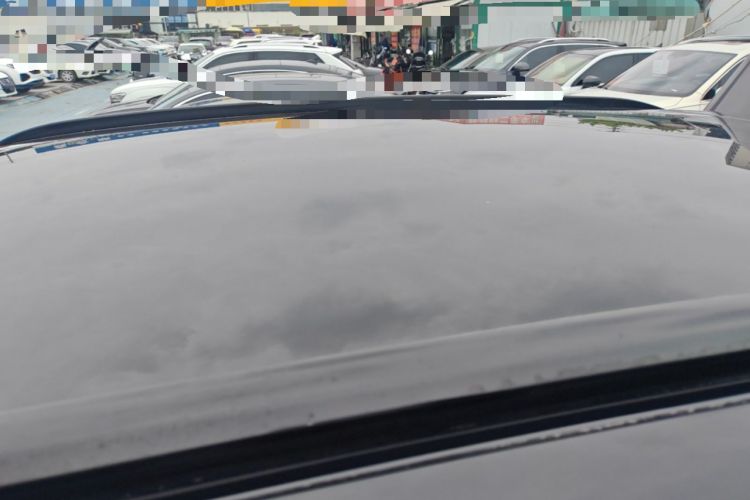 Used Leapmotor C11 2023 Pure Electric 500 Smart Edition Roof