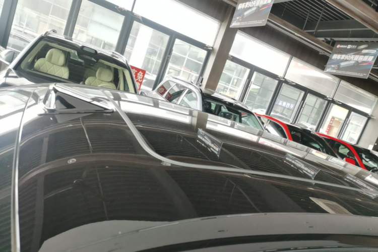 Used Leapmotor C11 2023 Pure Electric 500 Comfort Edition Roof