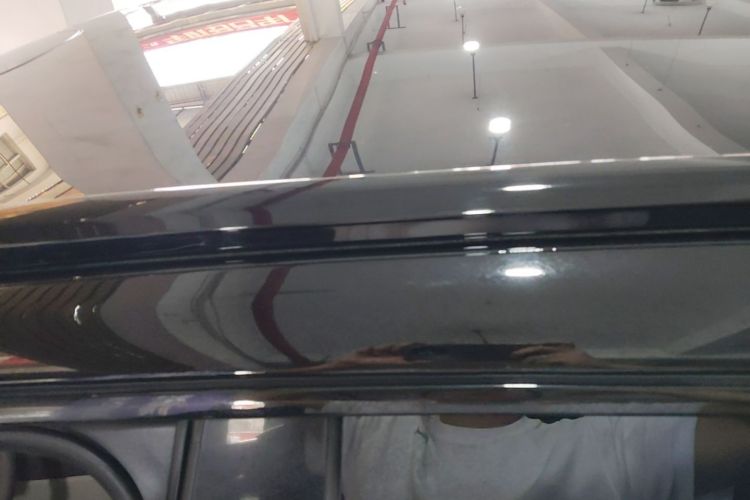 Used Leapmotor C11 2023 Pure Electric 500 Comfort Edition Roof