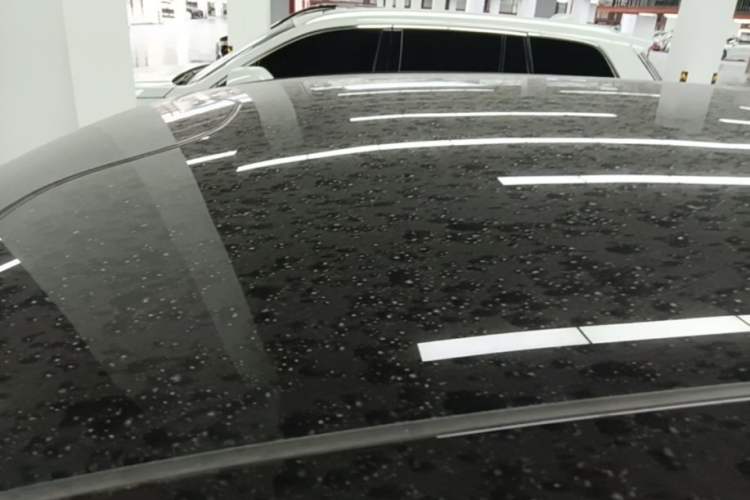 Used Leapmotor C11 2023 Pure Electric 500 Comfort Edition Roof