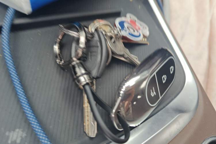 Used Leapmotor C11 2023 Range-Extended 200 Comfort Edition Vehicle Key