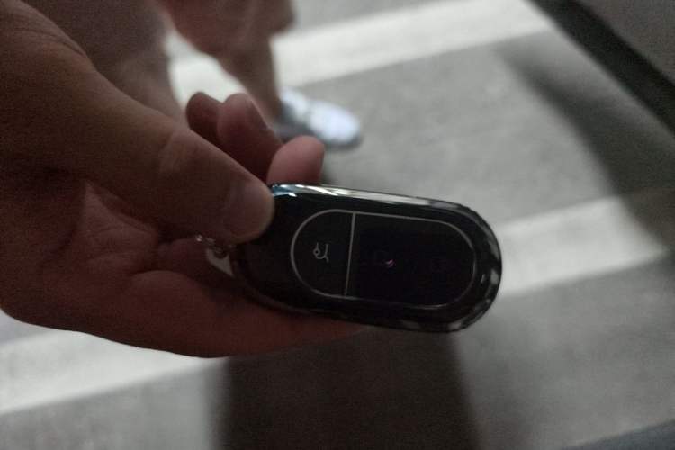 Used Leapmotor C11 2023 Range-Extended 200 Comfort Edition Vehicle Key