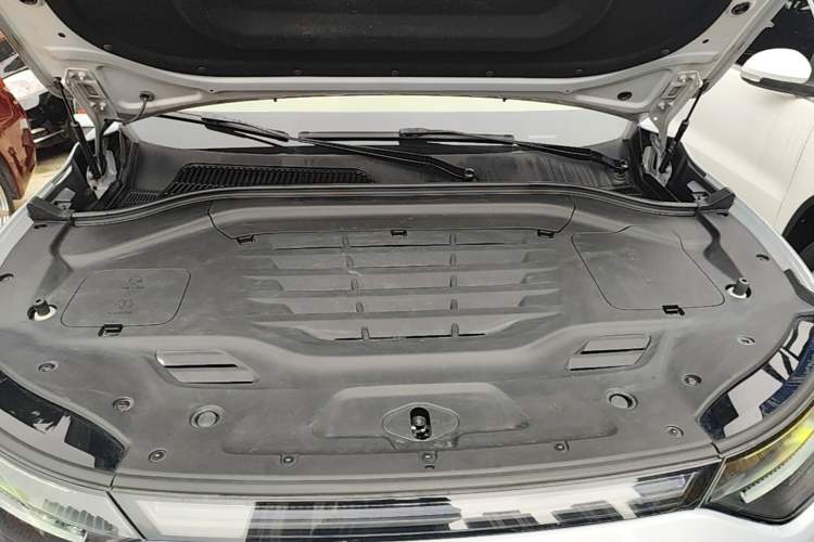 Used Leapmotor C11 2023 Pure Electric 500 Smart Edition Engine Bay
